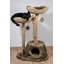 Counts 100cm H Cat Tree
