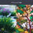 Magnolia Window Film 24" x 36"-864668607