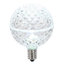 Globe Light Bulbs