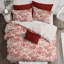 Ensemble d'édredon en coton standard Elysees-60144321-60144324