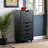 Holthaus Black Finish 5-Drawer Storage Mobile Cabinet With Wheels, 41.23'' H X 19.03'' W X 15.79'' D-23294692