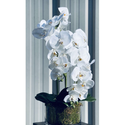 Silk Orchid Arrangement in Vase