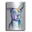 Red Barrel Studio® «Rainbow Dogs American Pit Bull Terrier» par Lindsay Kivi, art mural en métal-187498971