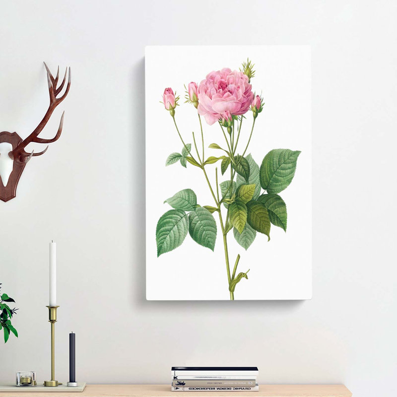 Pretty Pink French Roses by Pierre-Joseph Redoute - Wrapped Canvas, 60cm H x 40cm W x 3cm D