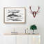 Shark and Dolphins by Thomas Astley - Picture Frame Drawing Print on MDF-55619332-55619330