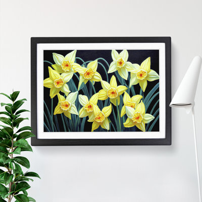 Angelical Daffodil Flowers - Single Picture Frame Print