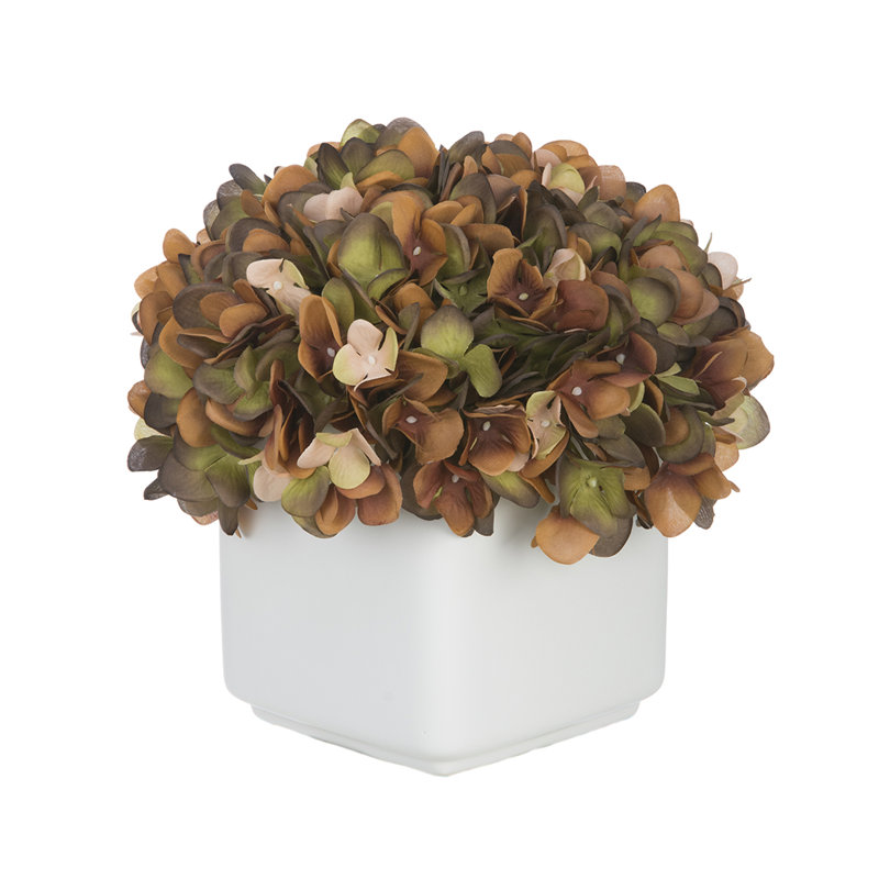 Hydrangea artificielle dans Small White Cube en céramique, Café / Sauge