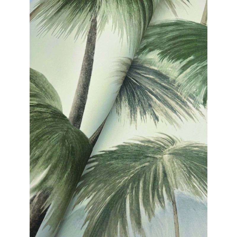 Madisyn tropical non gâché, Rétro