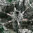 Lighted Christmas Tree-1175964531-1272812176