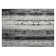Charysse Washable Abstract Indoor / Outdoor Rug