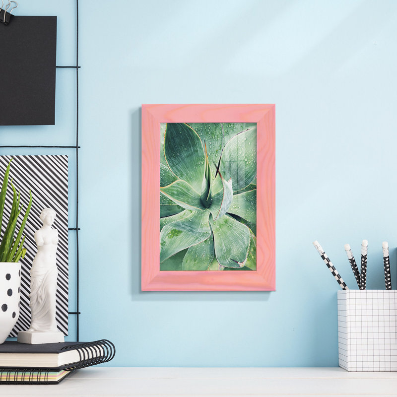 «Green Tropical Succulent I», reproduction de cadre photo simple, H 9 po x l 7 po x P 1 po, Rose