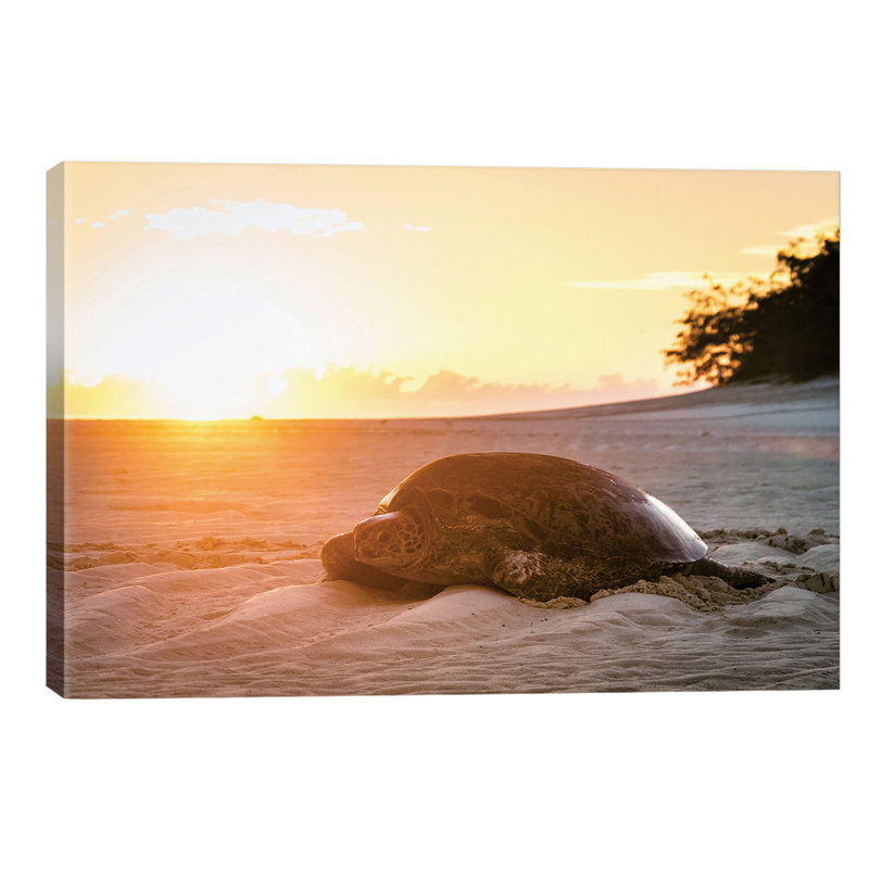 Sunrise Turtle on Beach Golden Light 1 Piece Wrapped Canvas Wall Art, 66.04 cm H x 45.72 cm W x 1.91 cm D