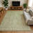 Premium Machine Washable Honig AMF1659 Damask Rug-445452
