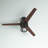 Amp 52'' Ceiling Fan with Light Kit