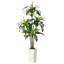 180cm Tree