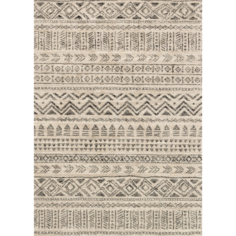 Aparicio Southwestern Indoor Rug, Rectangle 3'10" x 5'7"