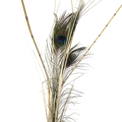 134cm Grass