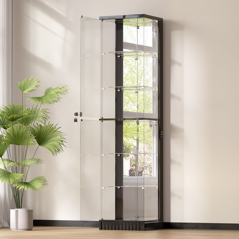 Display Cabinet, Black