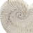 11.5X6.7X7.7" Sand And Cement Nautilus Shell Planter With Textured Beige Finish-1515714818
