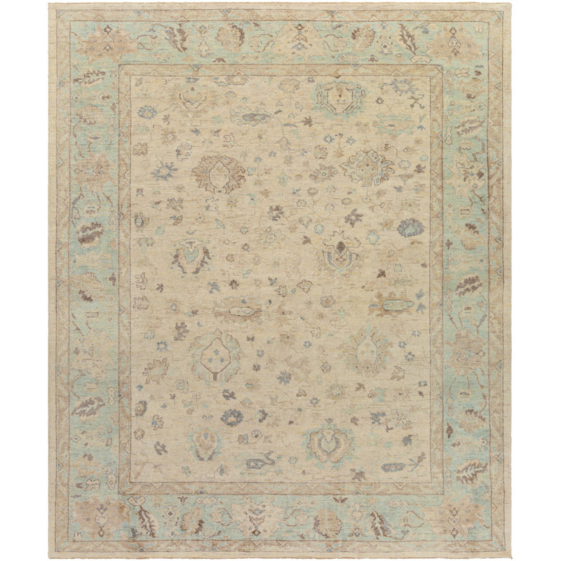 Daucourt Wool Oriental Area Rug, Rectangle 4' x 6'