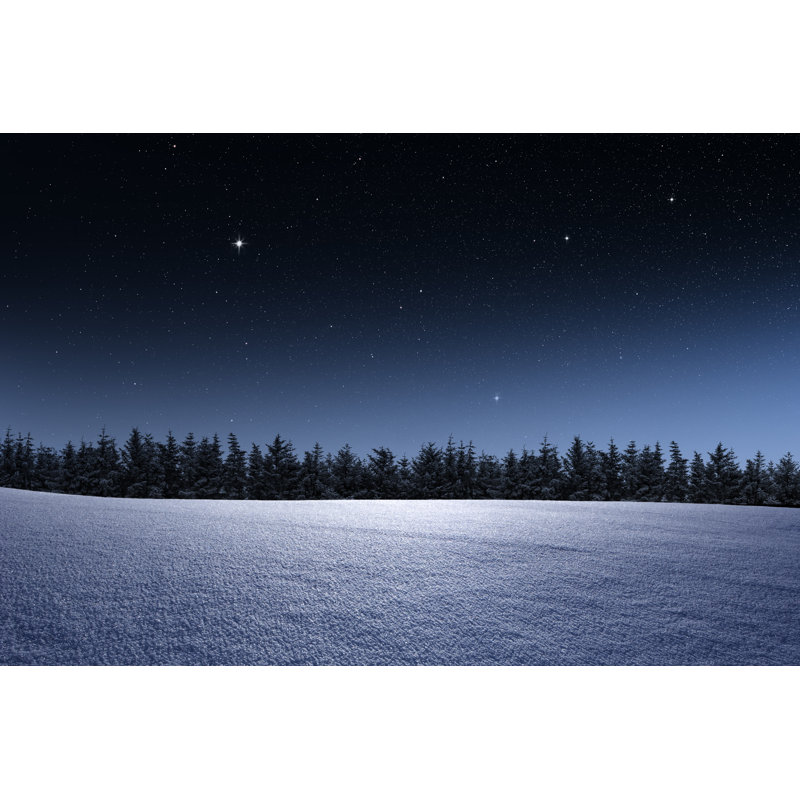 Winter Landscape - Wrapped Canvas Print, 30cm H x 46cm W x 3.8cm D
