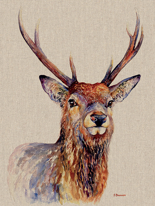 Jane Bannon - Wrapped Canvas Print, 80cm H x 60cm W