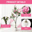 183cm Plant