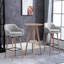 Aghaboy Upholstered Counter Stool with Metal Frame-839654143