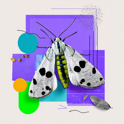 «Violet Studio», reproduction d'art sur toile tendue