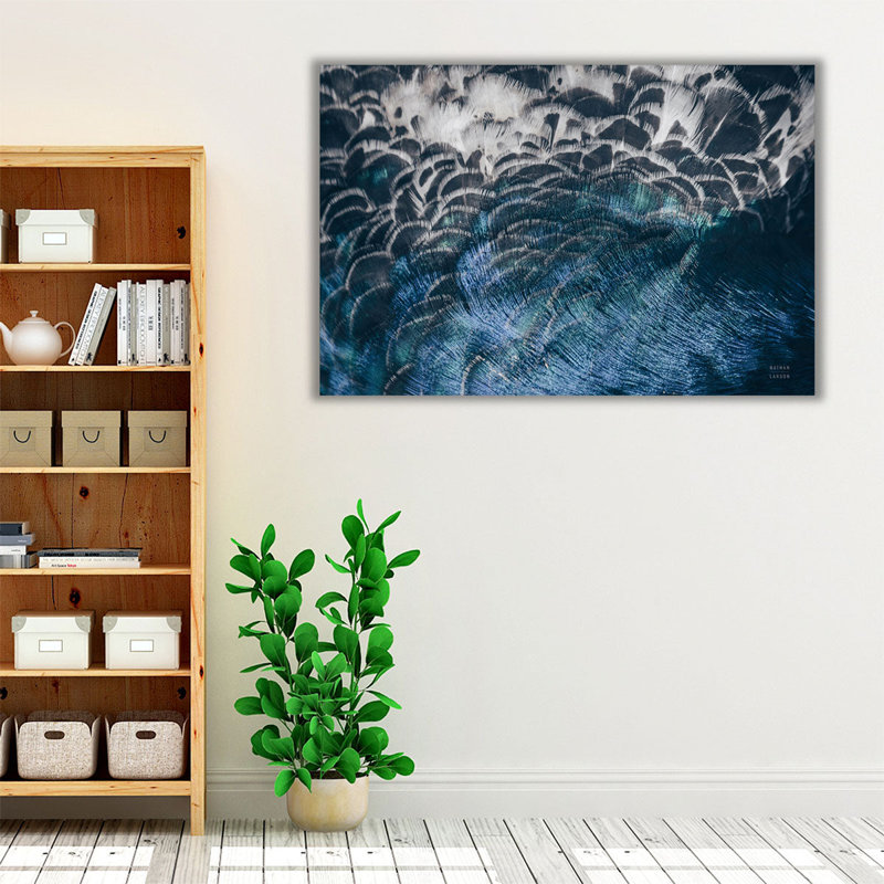 Peacock Study II - Canvas Print Wall Art, 24" H x 36" W
