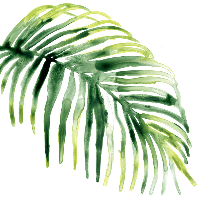 Tropical Jewel V by June Erica Vess - Wrapped Canvas Painting, 51cm H x 51cm W