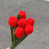 Rouge * 6 pièces sélectionné