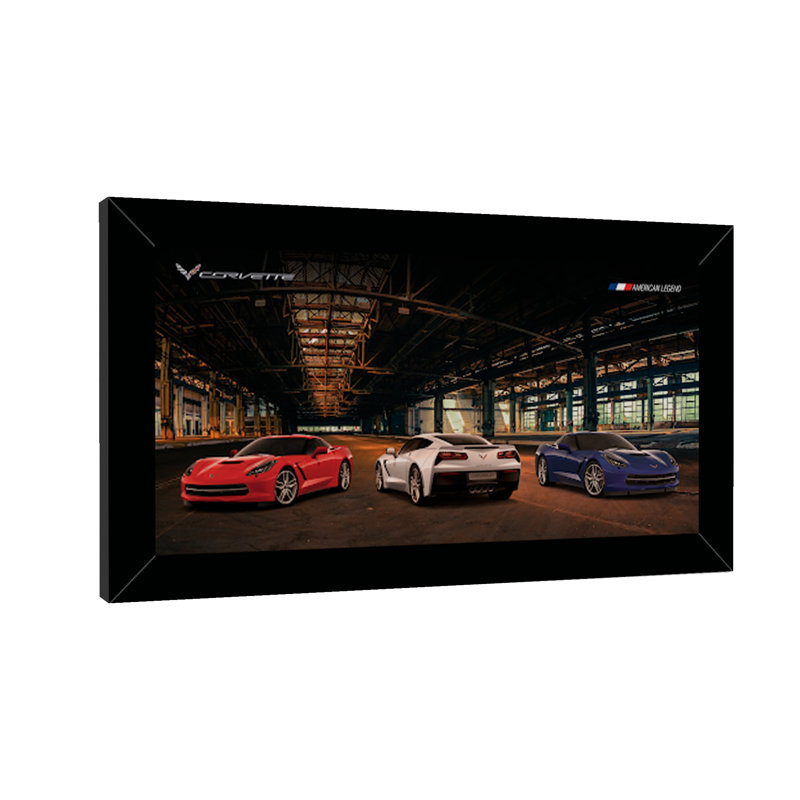 " 2019 Corvettes "