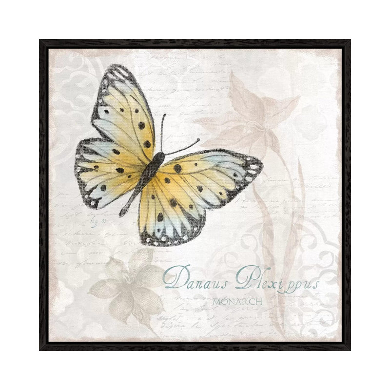 Postcard Butterfly I by Tava Studios - Floater Frame Gallery-Wrapped Canvas Giclée on Canvas, 45.72 cm H x 45.72 cm W, Black