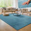 Cretien 100% Polyester Turquoise Outdoor Rug-1999299097