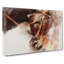 Horse In Abstract - Wrapped Canvas-55310893
