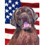 2 côtés en polyester de 2 côtés american drapeau de jardin-1288238455