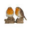 Salt And Pepper - Bird - Robin