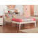 Lampley Platform Bed with Bookcase by Kids Beds