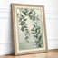 Study in Sage Botanical - Framed Print-414301784-414301787