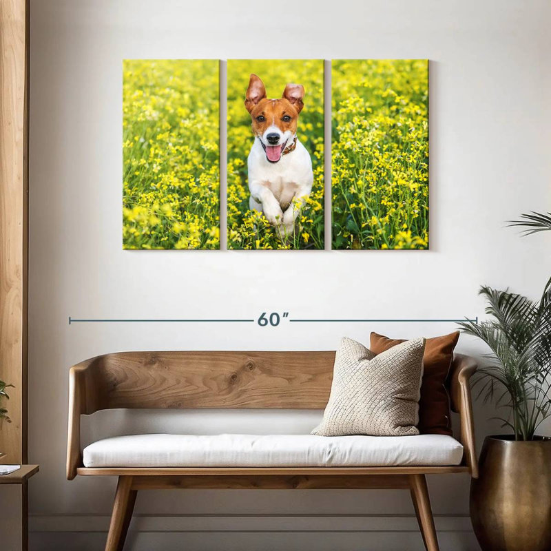 Brampt Happy Jack Russell, H 28 po x l 45 po