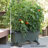 Lionnel Planter Box-1977765777