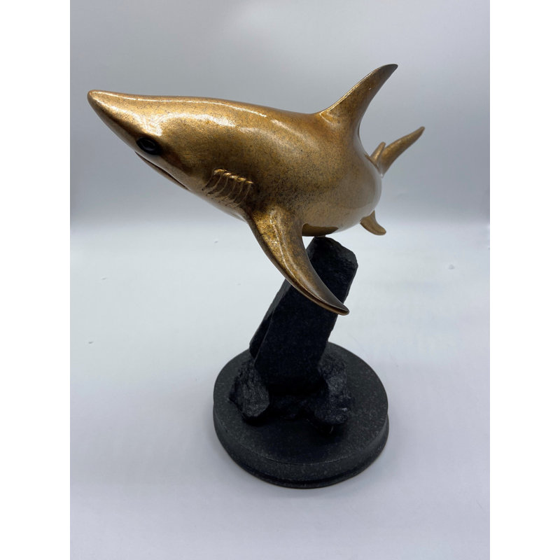 Requin doré sur roches