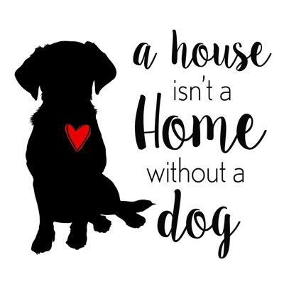 House House Dog