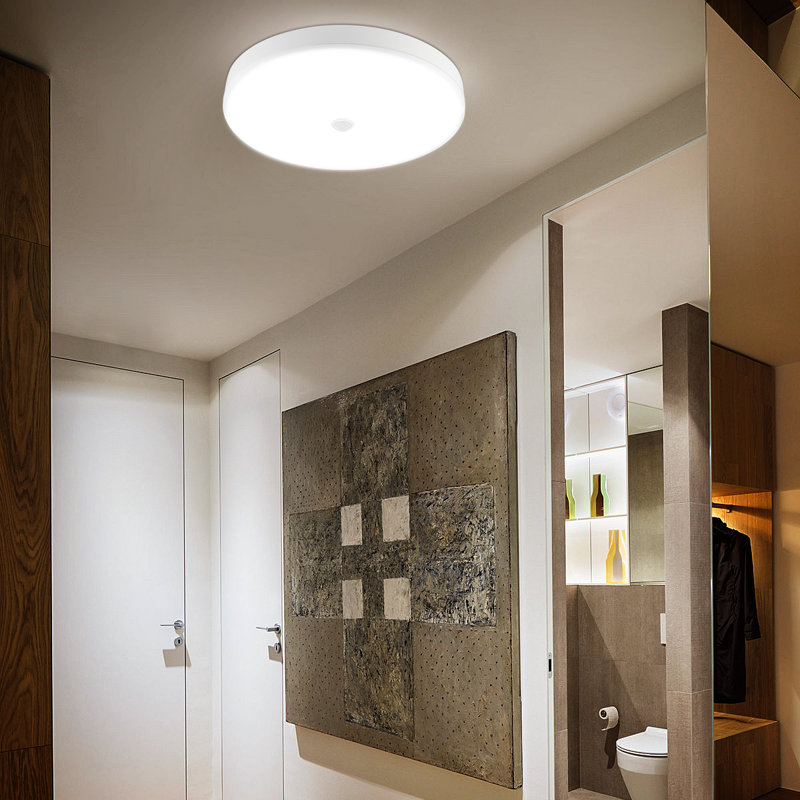 Danyia Silver LED Outdoor Flush Mount