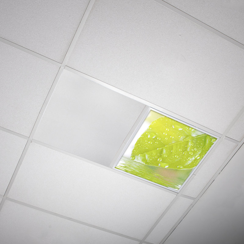 Tree Square Fixture Component Ceiling Light