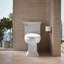 Purewarmth Heated Quiet-Close Elongated Toilet Seat with LED Nightlight-101377944