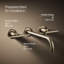 Purist® Wall Mounted Bathroom Faucet-993929143-1042871362