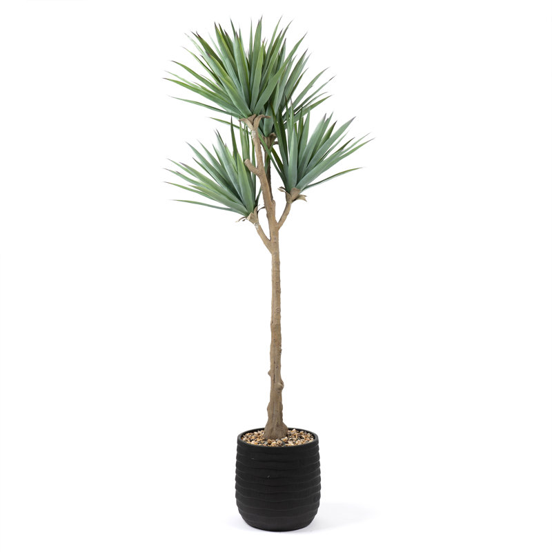 165cm Oversized Faux Aloe in Black Ridged Pot UV