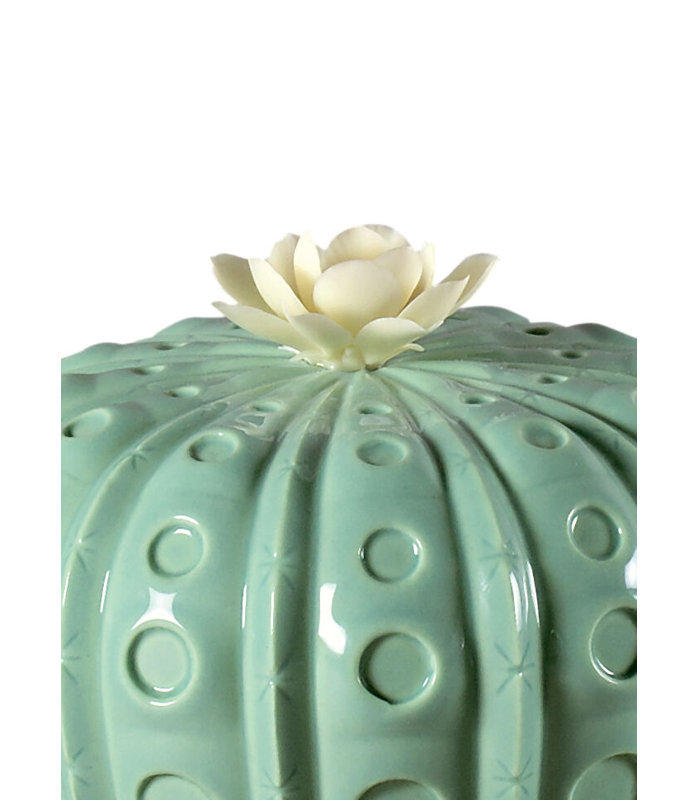 Astrophytum parfum de cactus, Fleurs tropicales